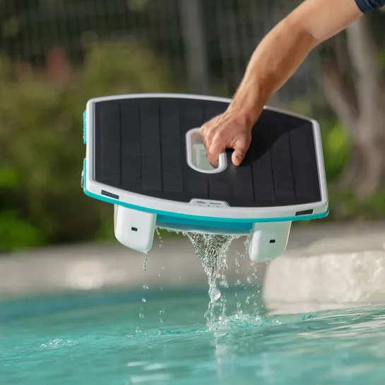 Dolphin Skimmi